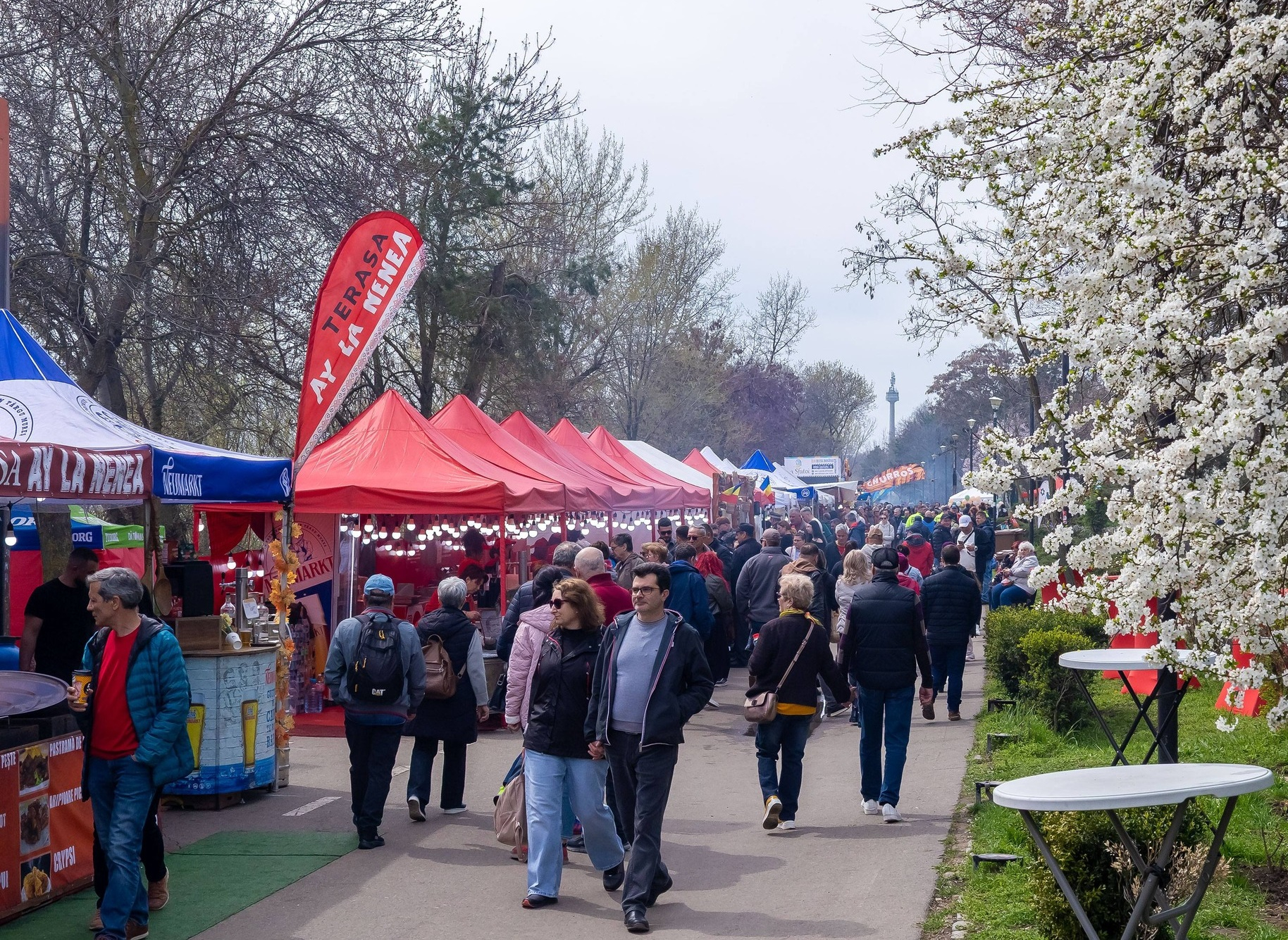 Agitație și prețuri mari la Festivalul Scrumbiei din Galați