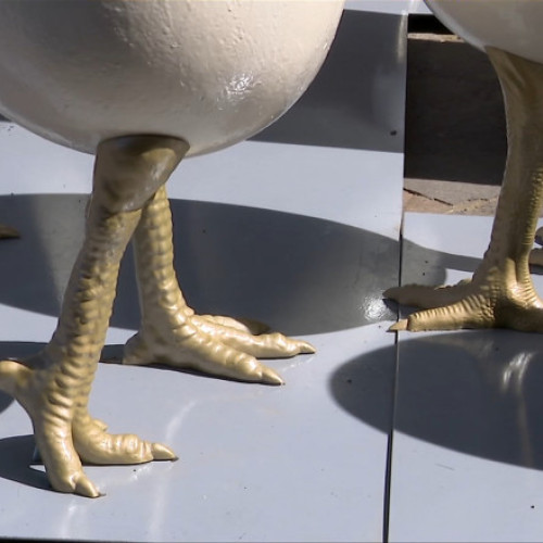 Controversa ouălor cu picioare în jurul sculpturii din Piața Unirii, Timișoara