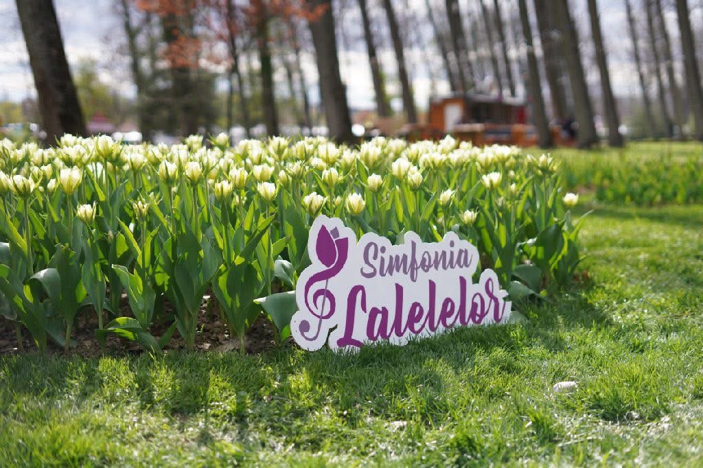 Ediția a 49-a a Simfoniei Lalelelor aduce evenimente diverse în Pitești