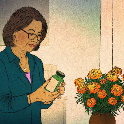 Produsele pentru menopauză sunt pe val. De ce medicii recomandă prudență