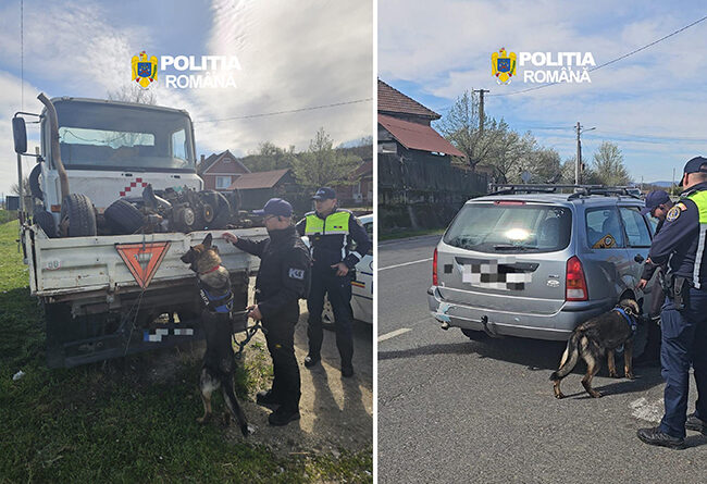 Acțiune integrată a poliției în Hunedoara pentru creșterea siguranței la căile ferate