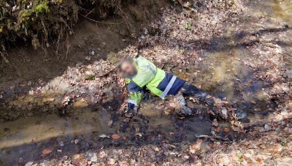 Cadavru mumificat descoperit în pădurea din Valea Seacă