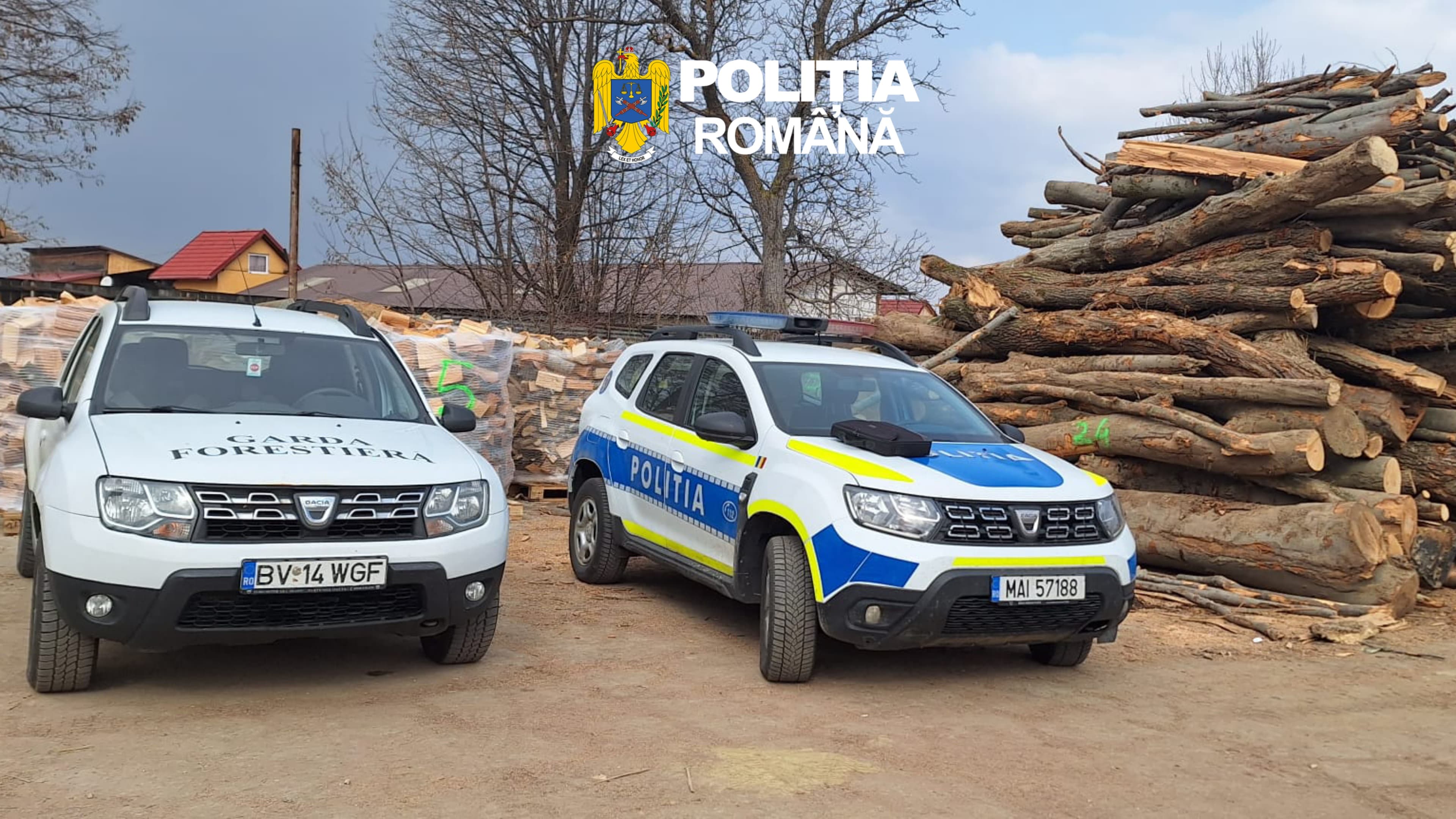 Controalele polițiștilor din Brașov vizează ilegalitățile din domeniul silvic