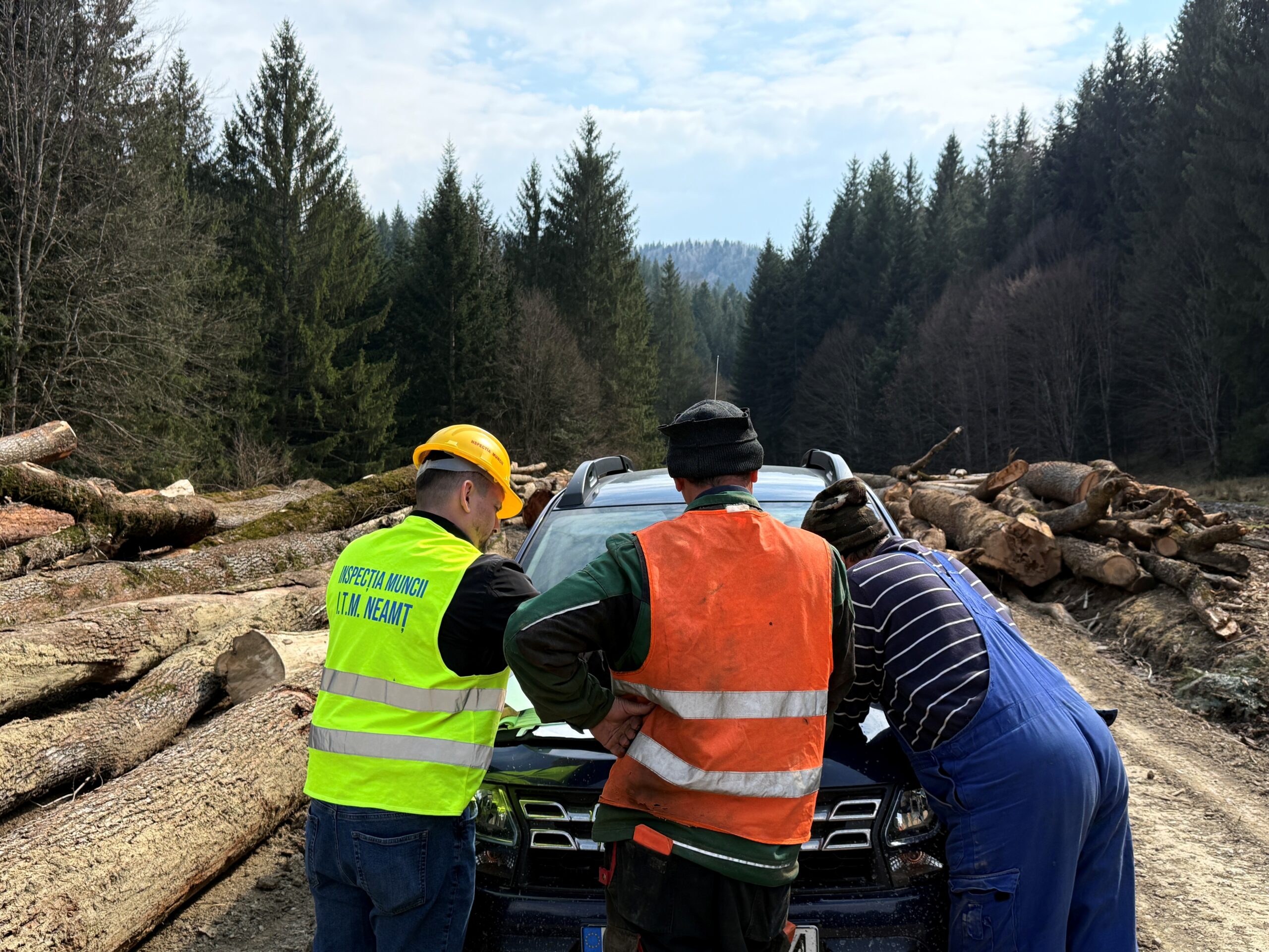 Controale ITM Neamț în exploatările forestiere relevă abateri semnificative