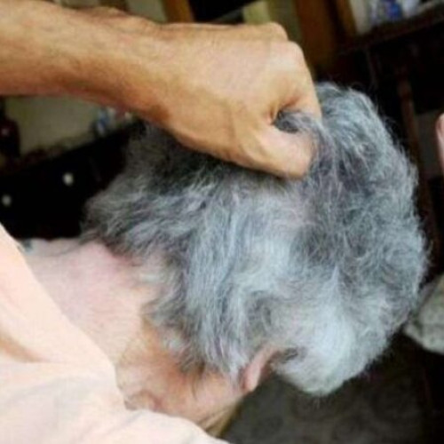 Fiul unei femei agresate a fost condamnat la închisoare cu suspendare