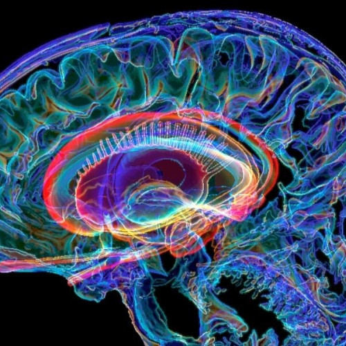 Cum acționează drogurile psihedelice asupra creierului: descoperiri similare