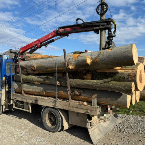 Captură de lemn fără acte în Târzia, peste 6 metri cubi confiscați