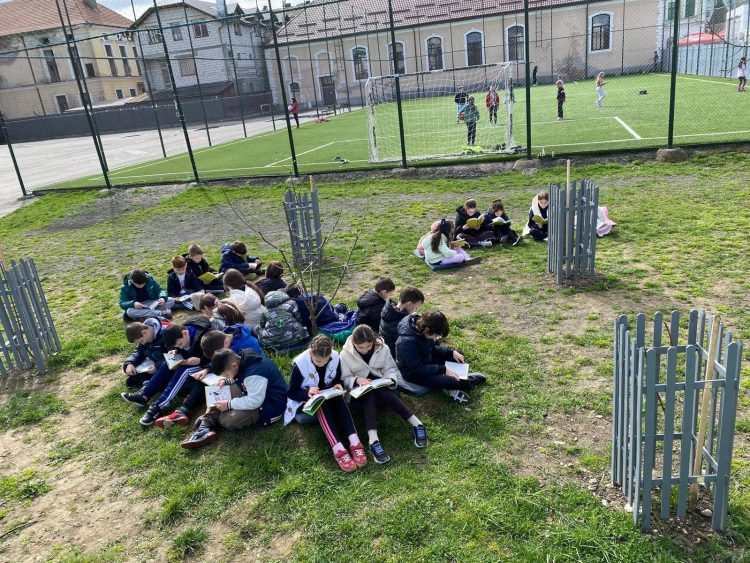 Maramureșul promovează literația timpurie prin „Picnicul Lecturii”