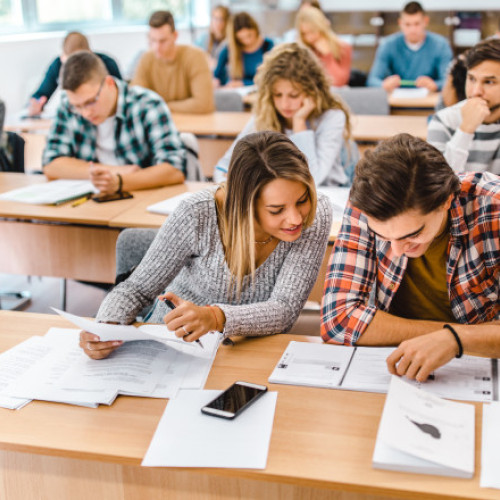 Ministerul Educației a anunțat rezultatele simulării examenului de Bacalaureat 2026