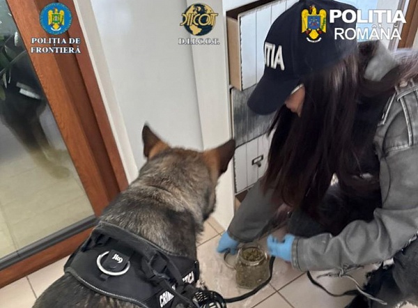 Două persoane arestate pentru trafic de droguri în Satu Mare