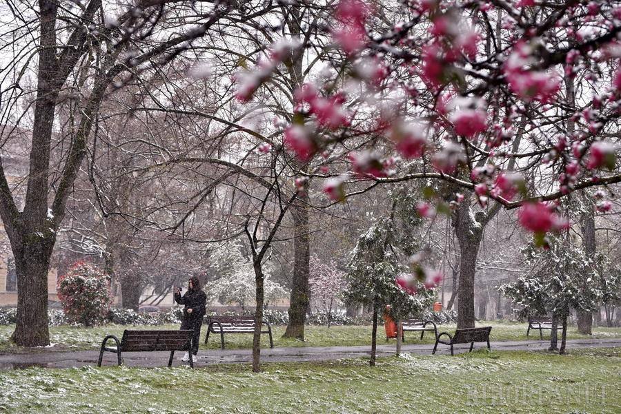 Vreme rece și vânt puternic în întreaga țară pe 9 aprilie