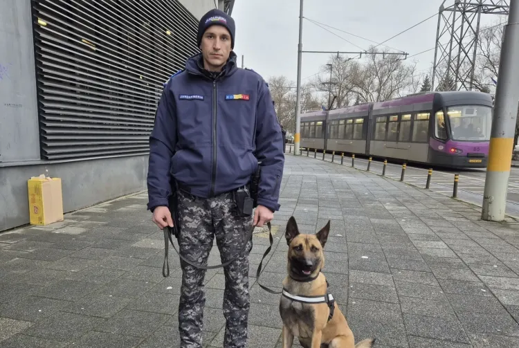 Weekend important pentru fotbalul clujean, măsuri stricte de siguranță