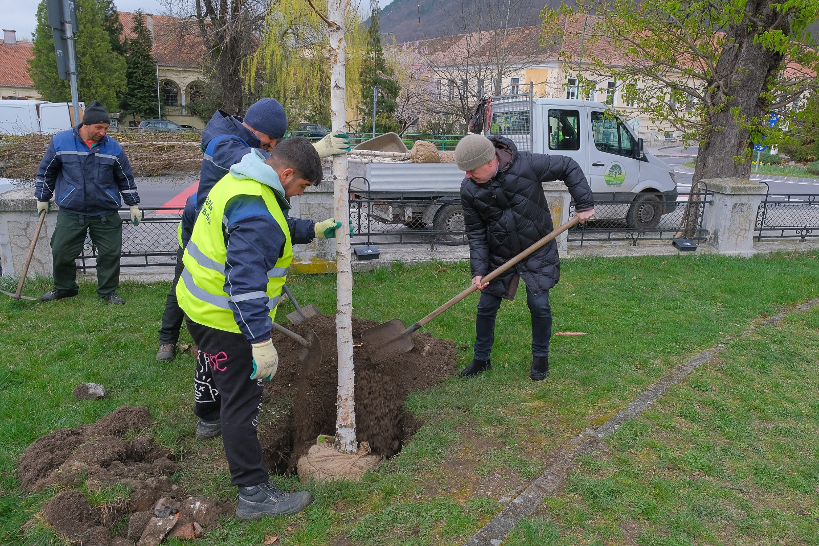 Primăria Brașov plantează 35 de arbori în zona colegiului