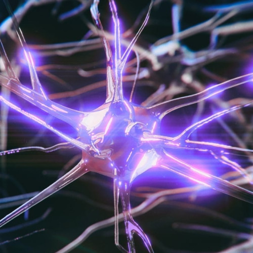 Alzheimer's Risk Gene Alters Brain Activity Early – But It May Be Reversible - ScienceAlert