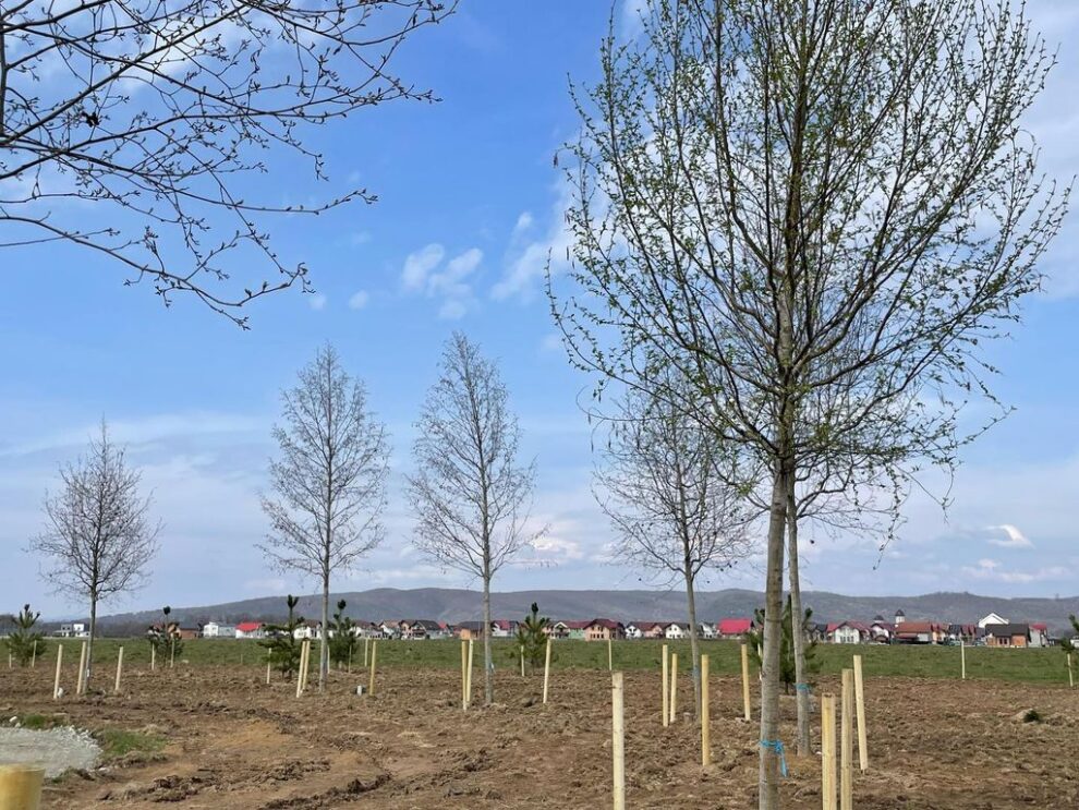 Grădina Urbană Transilvania se dezvoltă în Beclean