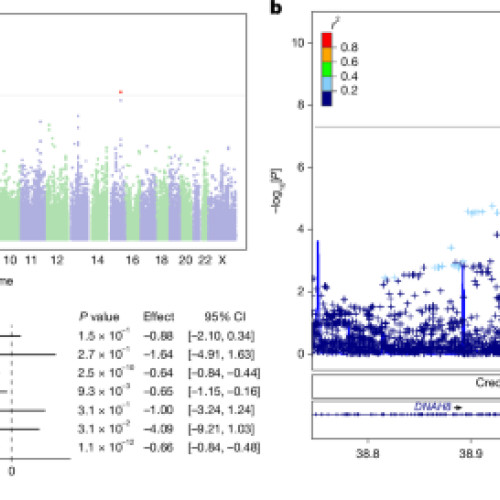Predicții genetice ale pierderii în greutate și efectelor secundare ale agonistului receptorului GLP1