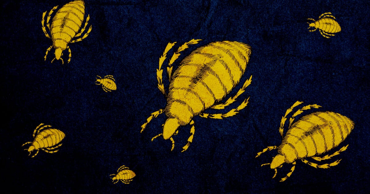 Grim ‘Victorian Disease’ Flea-Borne Typhus Makes Terrifying Comeback in U.S. - The Daily Beast