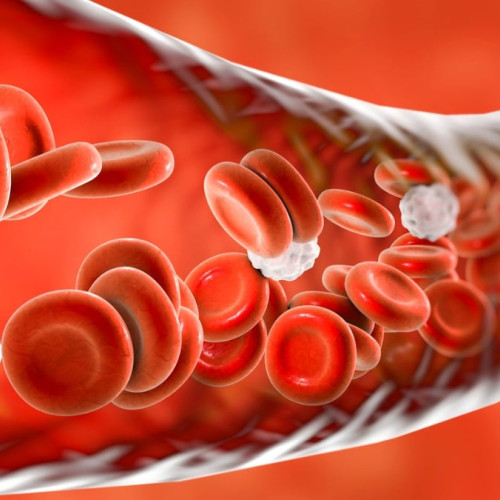 Scientists May Have Found a New Cause of High Blood Pressure, And a Way to Treat It - ScienceAlert