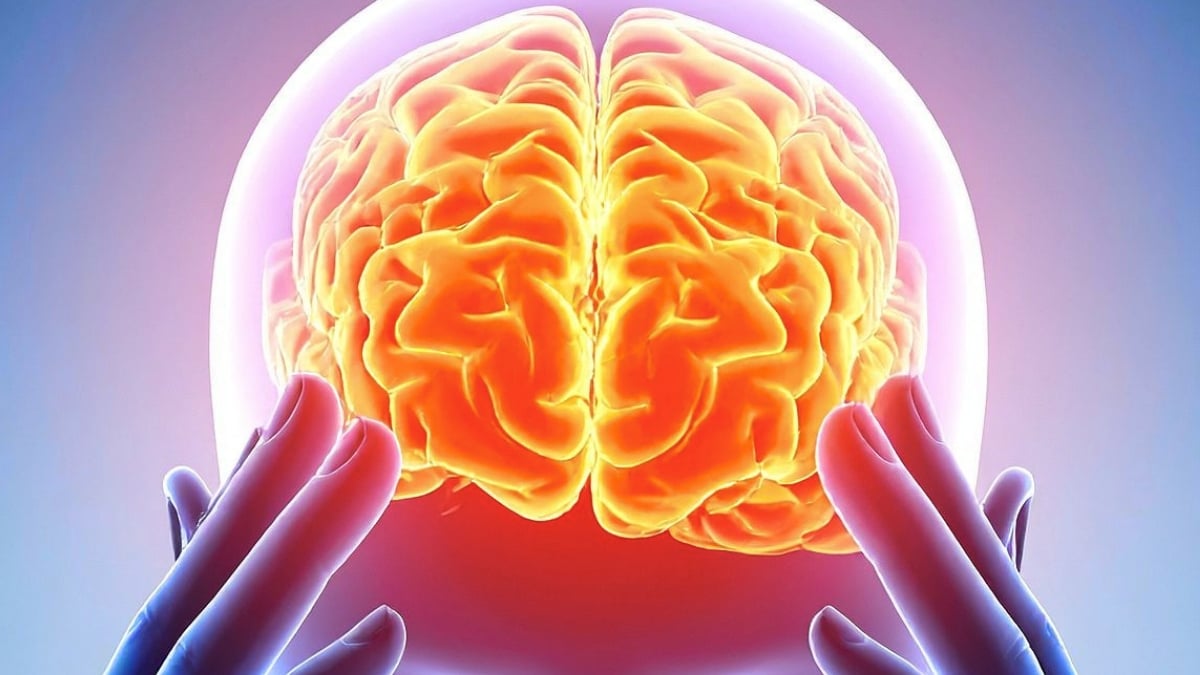 Scientists Found a Common Brain 'Fingerprint' Across 5 Psychedelics - ScienceAlert