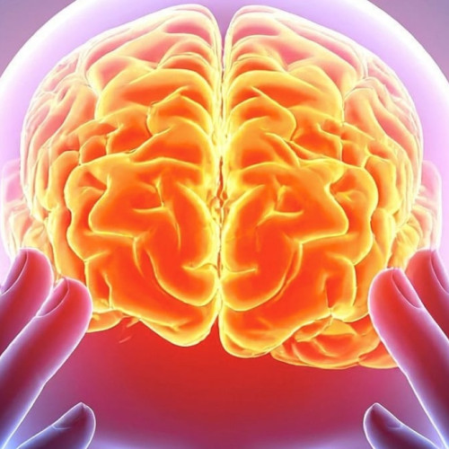 Studiu dezvăluie un „amprentă neurală” comună în utilizarea psihodelicelor