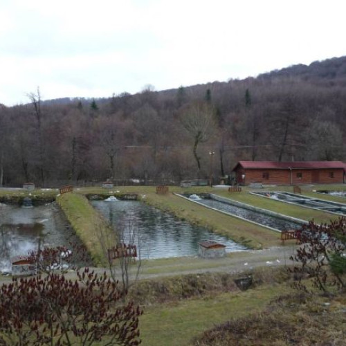 Controale riguroase în domeniul apelor: amenzi de 2,58 milioane lei în primele luni ale anului