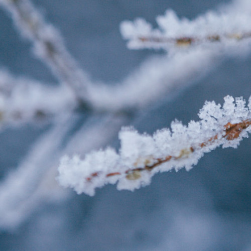 Temperaturi record și straturi de zăpadă în Munții Rodnei