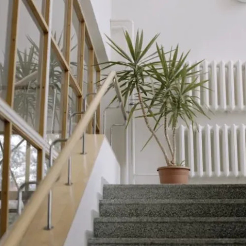 Părinții râd în fața plângerilor unei clujence despre copii care întorc icoanele