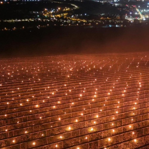 Agricultorii din Cluj cheltuiesc 40.000 de euro pentru a salva recoltele de cireșe