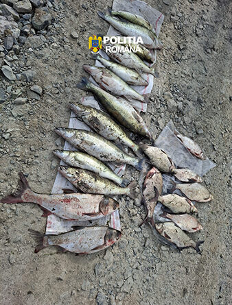 Polițiștii hunedoreni descoperă nereguli în activitățile de pescuit din vestul județului