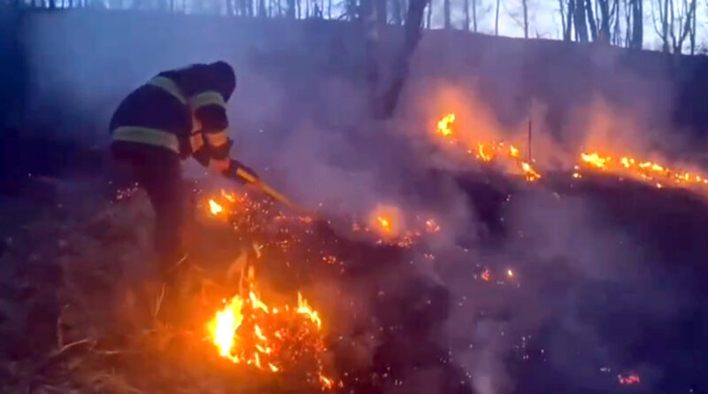Incendiu devastator afectează 10 hectare de teren