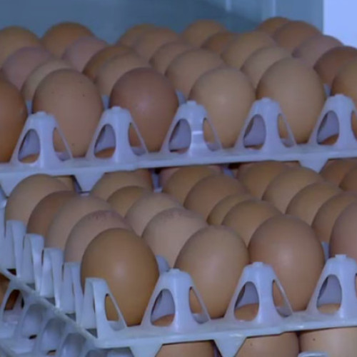 Alertă sanitară în România: 1,5 milioane de ouă retrase din cauza Salmonella