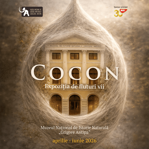 Muzeul Antipa redeschide expoziția de fluturi exotici, o experiență captivantă