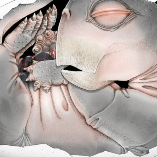 O descoperire importantă despre reproducerile sinapsidelor surprinde știința