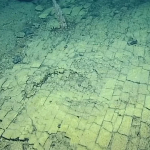 Descoperire fascinantă în adâncurile oceanului lângă Hawaii