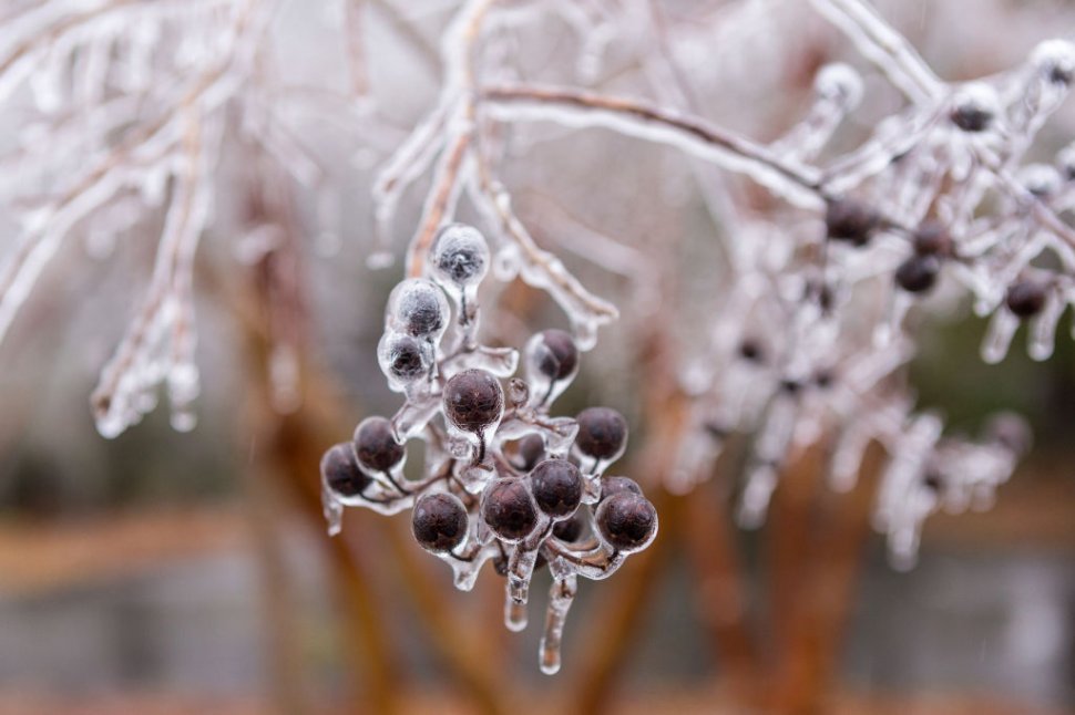 România se confruntă cu vreme rece și precipitații în perioada Paștelui