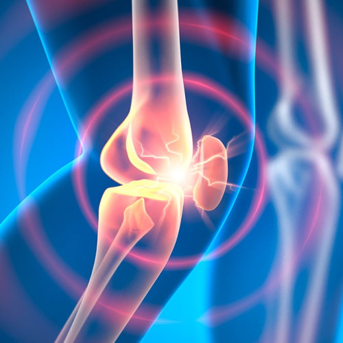 Un medicament experimental poate inversa osteoartrita în câteva săptămâni, arată cercetările pe animale