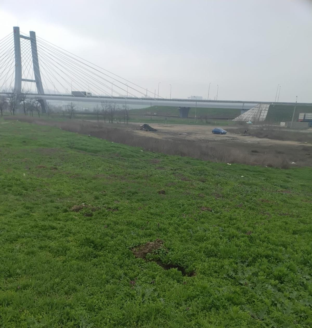 Parteneriat pentru plantarea unei păduri de salcâmi la Galați