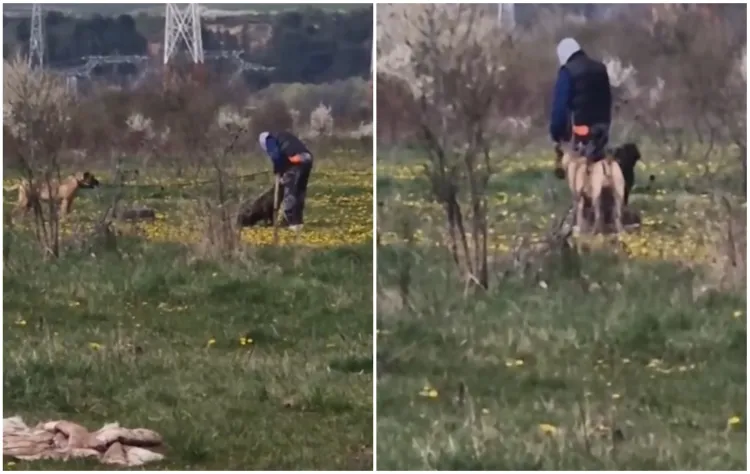 Un nou caz de abuz asupra animalelor scandalizează comunitatea din Cluj