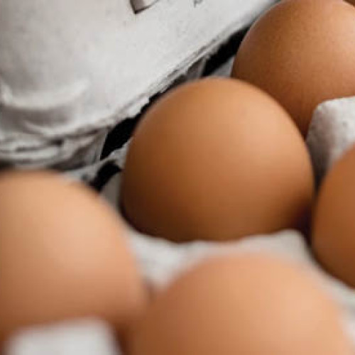 România înregistrează exporturi record de ouă de 140 de milioane de euro