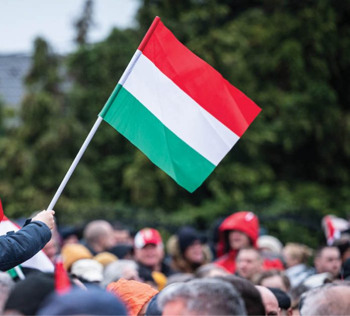 Ungaria a ales opoziția: Tisza câștigă alegerile din 12 aprilie