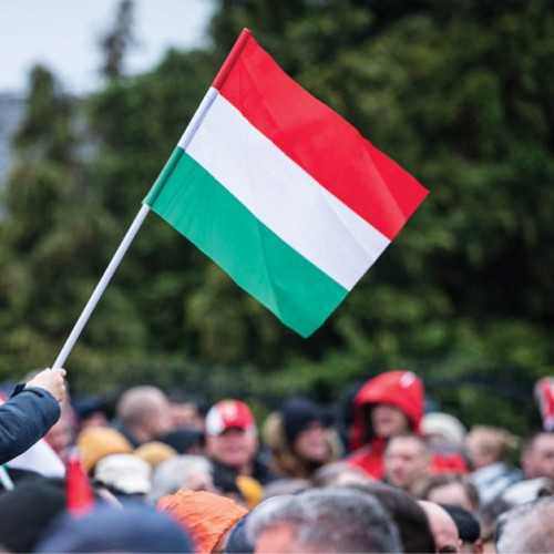 Ungaria a ales opoziția: Tisza câștigă alegerile din 12 aprilie