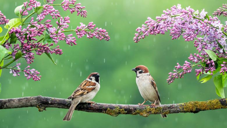 Vreme stabilă în Dâmbovița, cu temperaturi moderate în următoarele două săptămâni