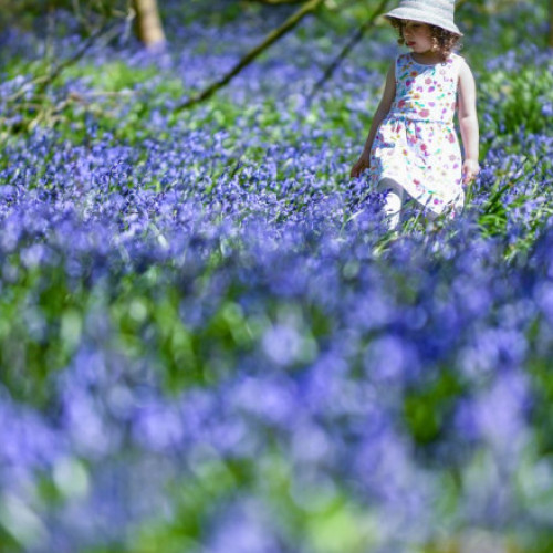 ANM prezice temperaturi ridicate și vreme caldă în perioada următoare