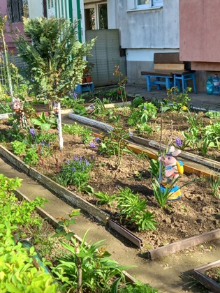 Gălăţenii îngrijesc grădinile de primăvară în ciuda vremii capricioase