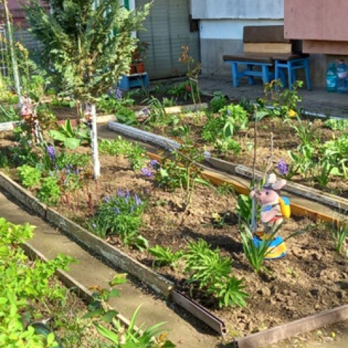 Gălăţenii îngrijesc grădinile de primăvară în ciuda vremii capricioase