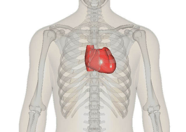 Analiză alarmantă: Românii nu conștientizează riscurile cardiovasculare