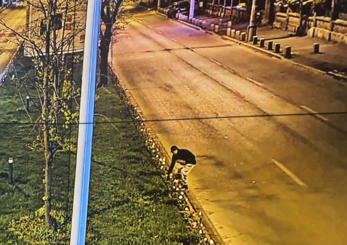 Spațiile verzi din Sectorul 6, atacate de hoți după amenajare