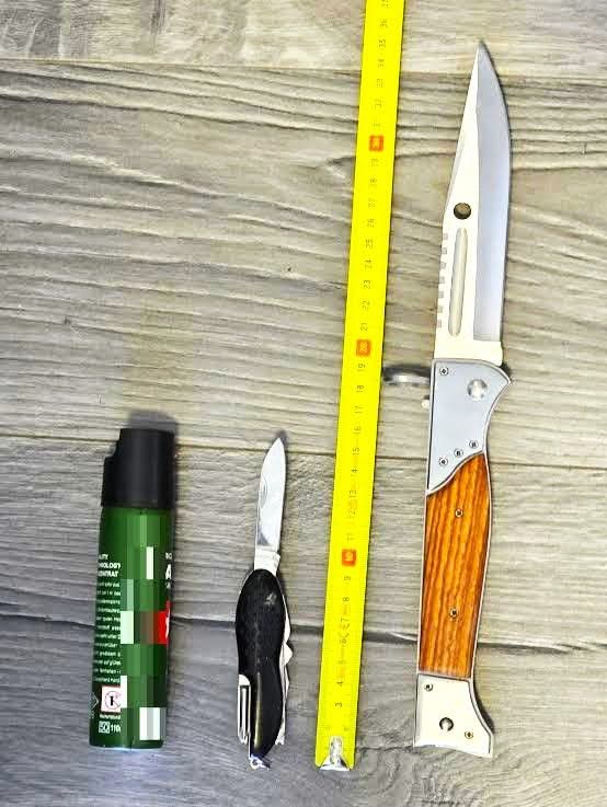 Incident neobișnuit la Judecătoria Târgoviște: tânără prinsă cu obiecte periculoase