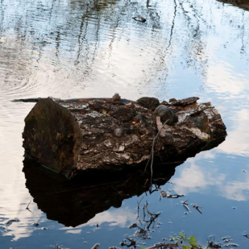 Descoperire importantă: Primii oameni foloseau focul în moduri inovatoare