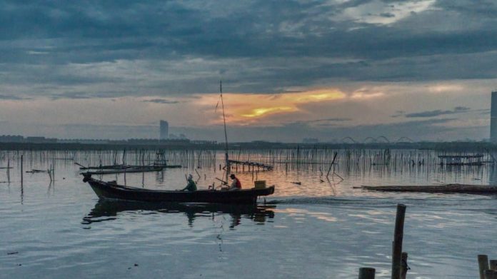 Tehnologii inovatoare în pescuitul la răpitori care asigură o experiență deosebită